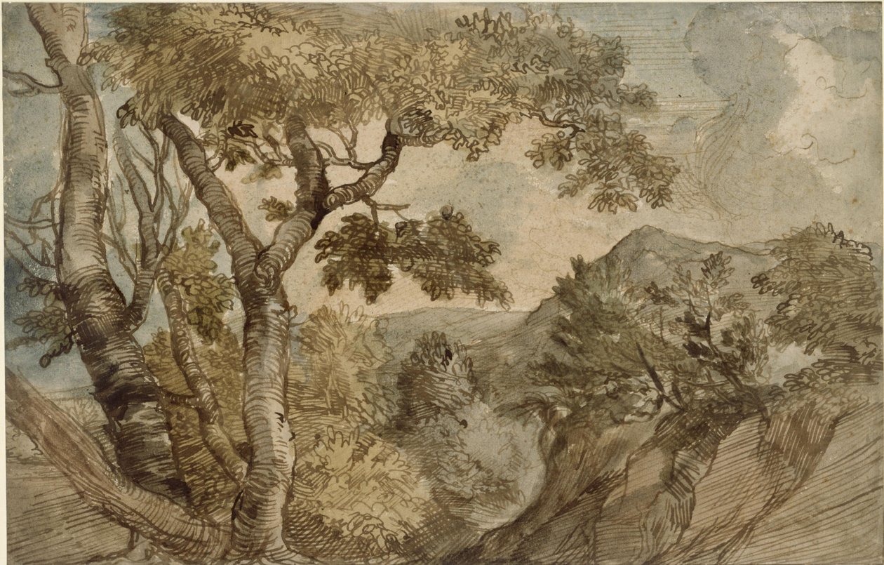 Vuoristomaisema ja puuryhmä tekijältä Jan Lievens