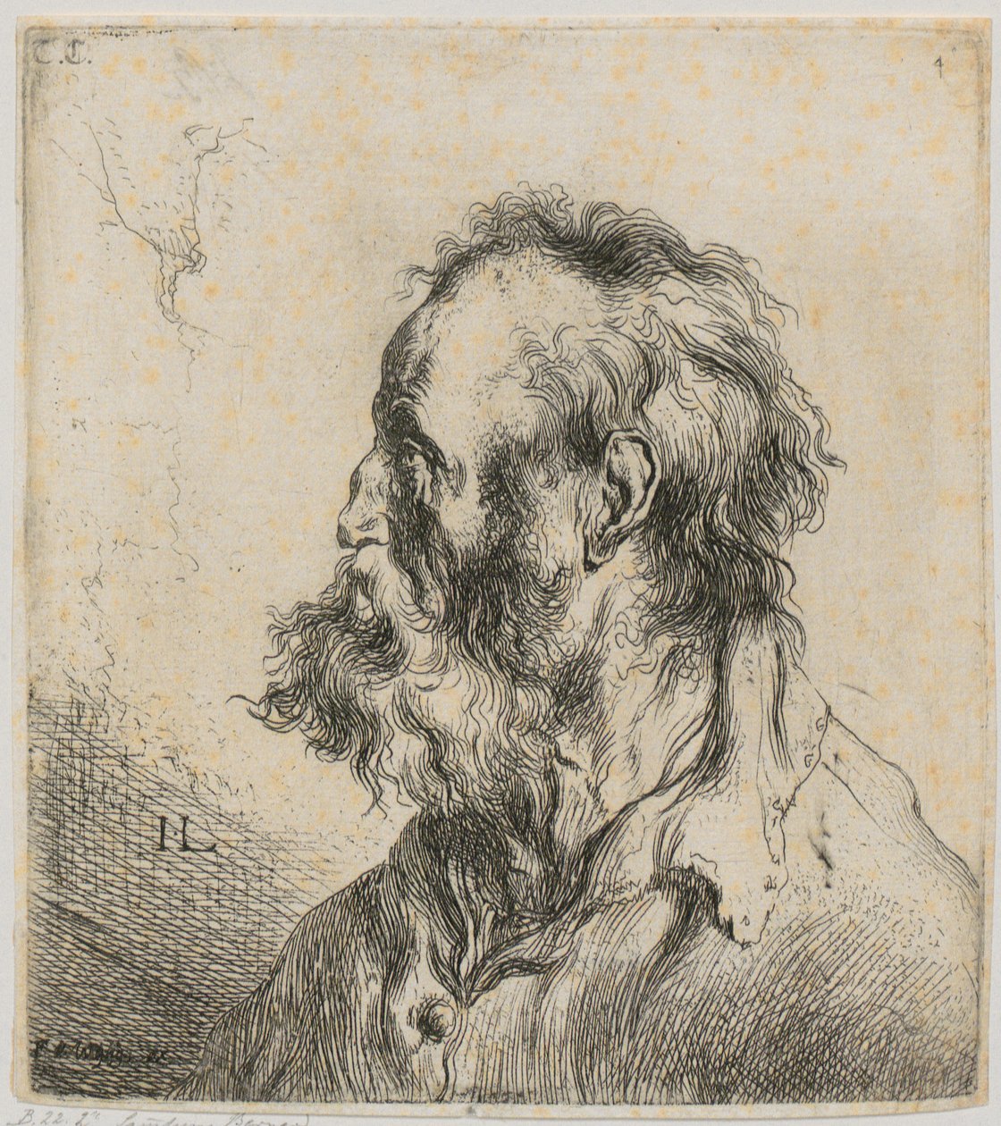 Rintakuva parrakkaasta vanhasta miehestä tekijältä Jan Lievens