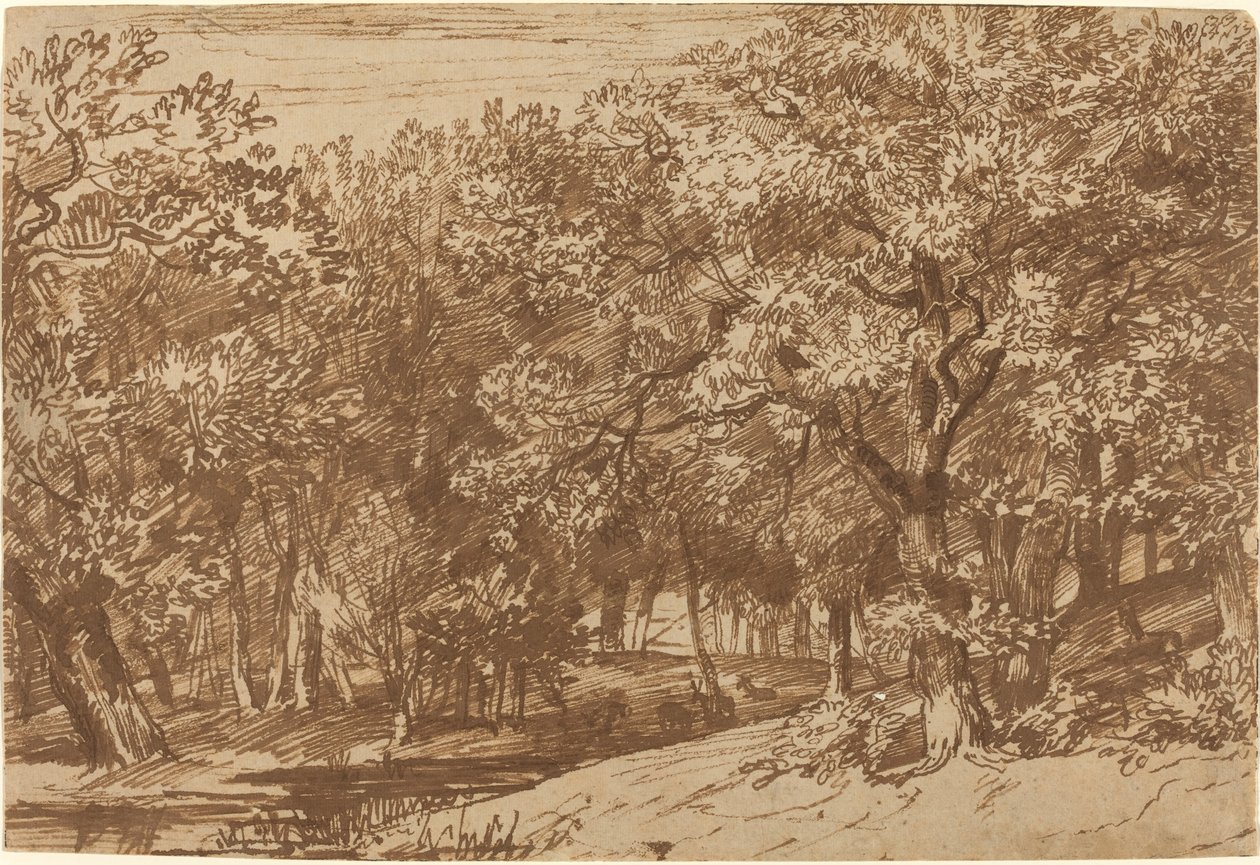 Deer Park tekijältä Jan Lievens