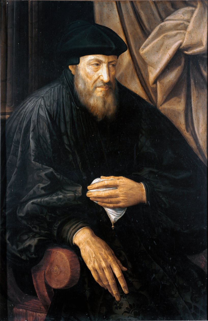Vanhan miehen muotokuva (luultavasti Andrea Doria) (Andrea Dorian tai d