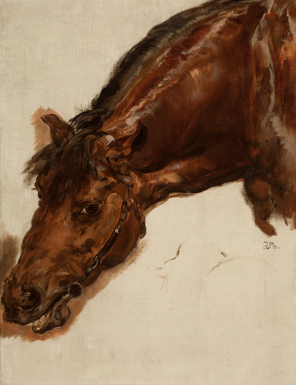 Hevosen pään tutkimus tekijältä Jan Matejko