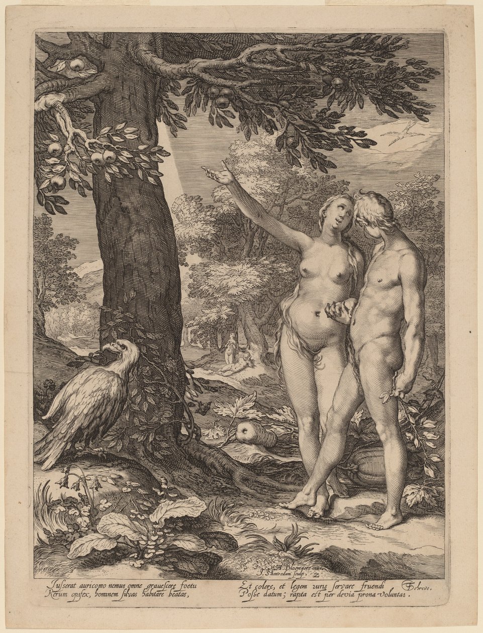 Aadam ja Eeva tiedon puun edessä tekijältä Jan Pietersz Saenredam after Abraham Bloemaert