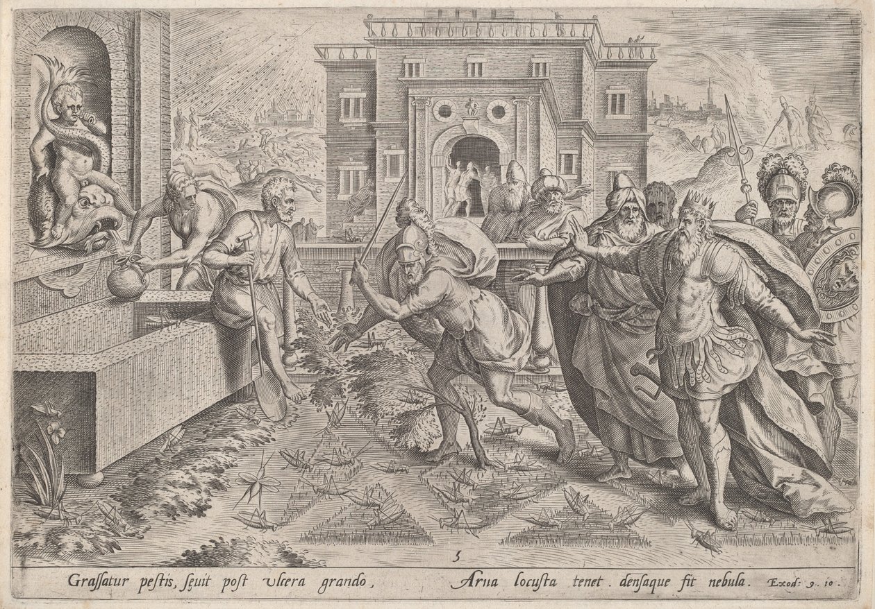 Heinäsirkkojen rutto tekijältä Jan Sadeler I, after Maarten van Cleef