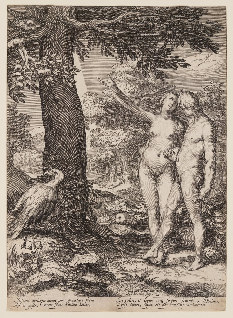 Aatami ja Eeva ennen tiedon puuta, teoksesta History of the First Parents of Man (Ihmisen ensimmäisten vanhempien historia) tekijältä Jan Saenredam