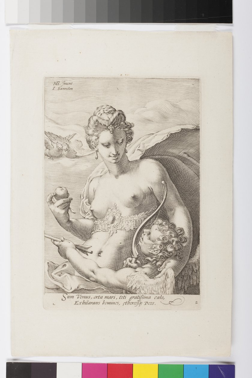 Venus (kaiverrus) tekijältä Jan Saenredam