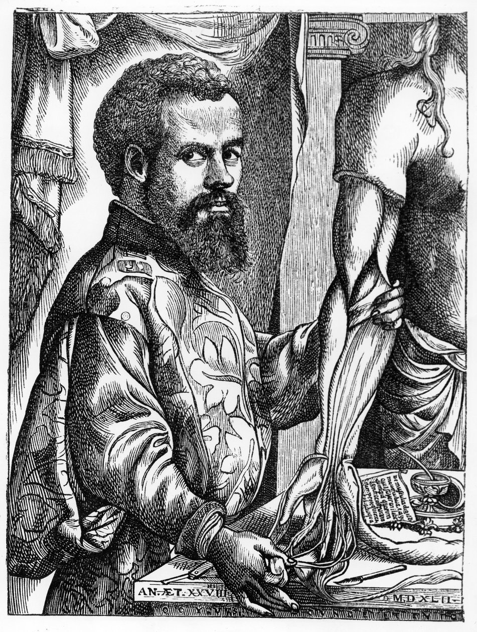 Andreas Vesaliuksen (1514-64) muotokuva hänen kirjastaan "De Humani Corporis Fabrica", 1543, kuvitus teoksesta "Tiede ja kirjallisuus keskiajalla ja renessanssilla", kirjoittanut ja kaivertanut Paavali tekijältä Jan Stephen van Calcar