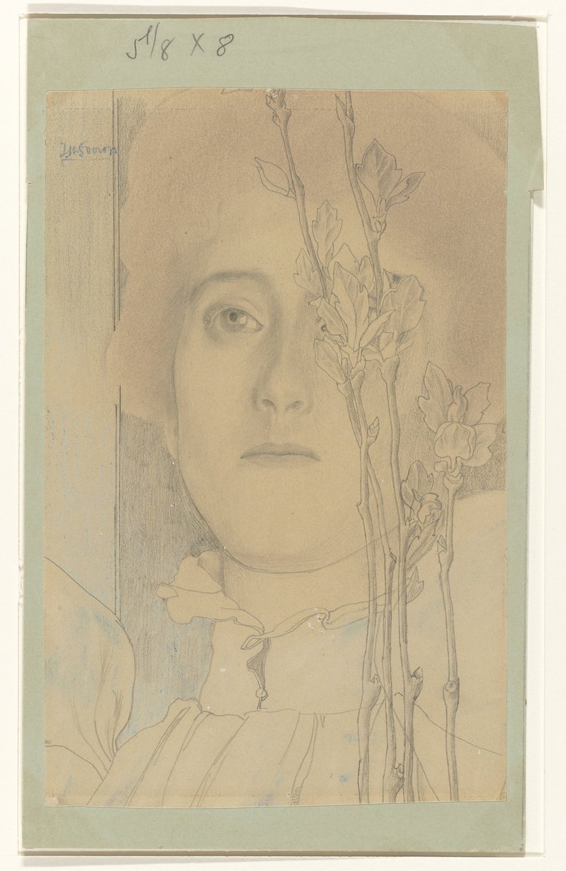 Tuntemattoman naisen muotokuva tekijältä Jan Toorop
