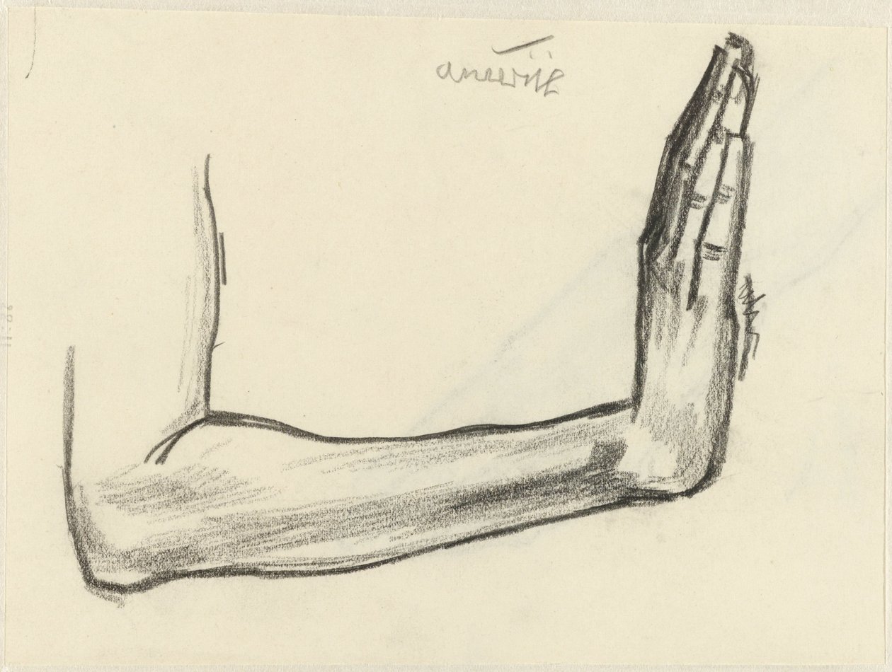 Tutkimus kyynärvarresta tekijältä Jan Toorop
