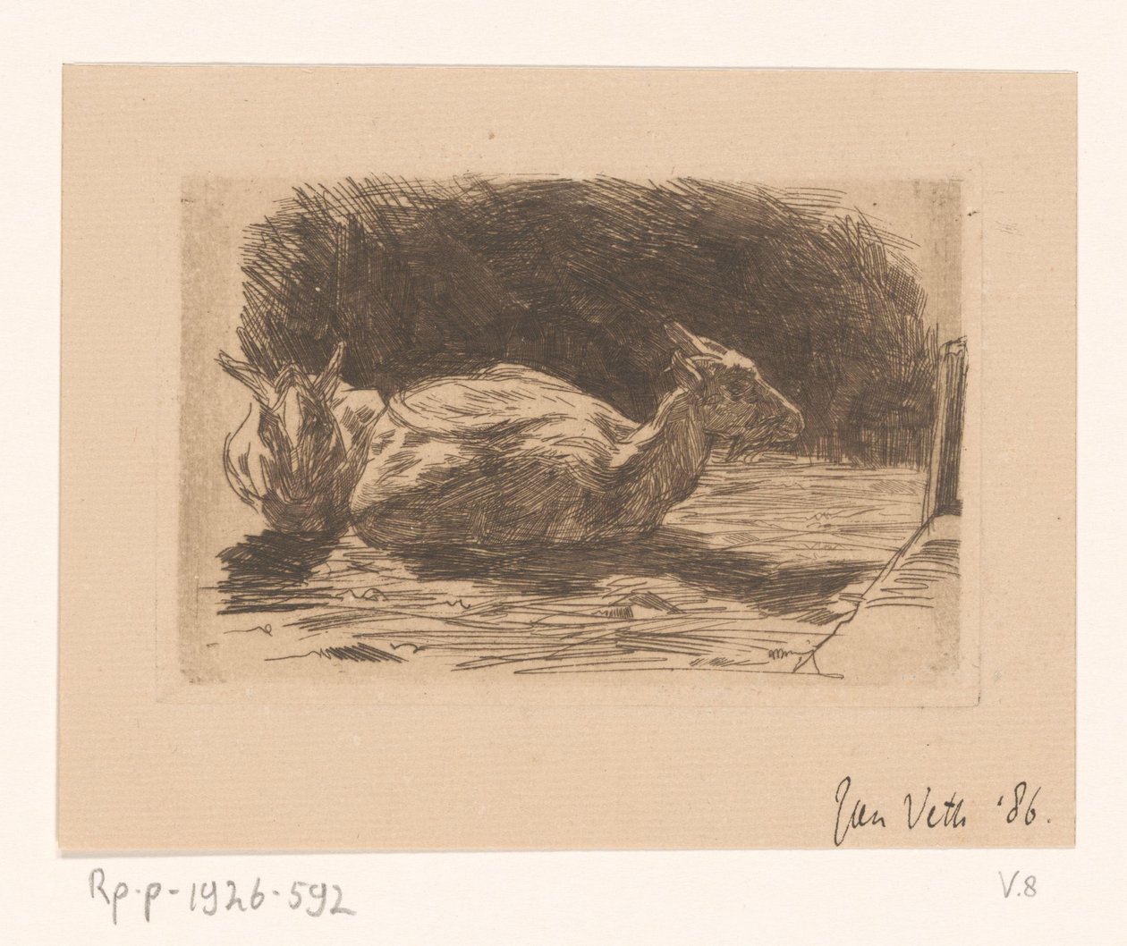 Kaksi vuohta tekijältä Jan Veth (signed by artist)