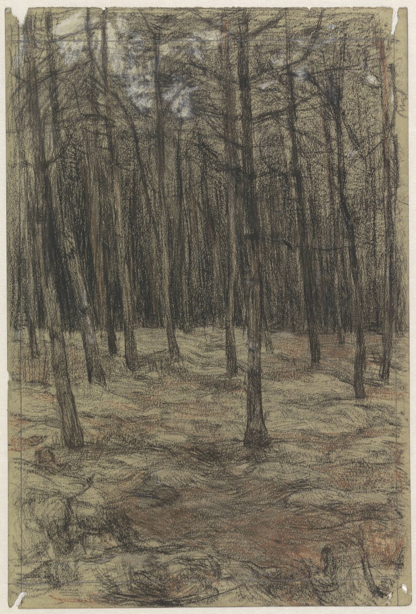 metsäinen maisema tekijältä Jan Veth