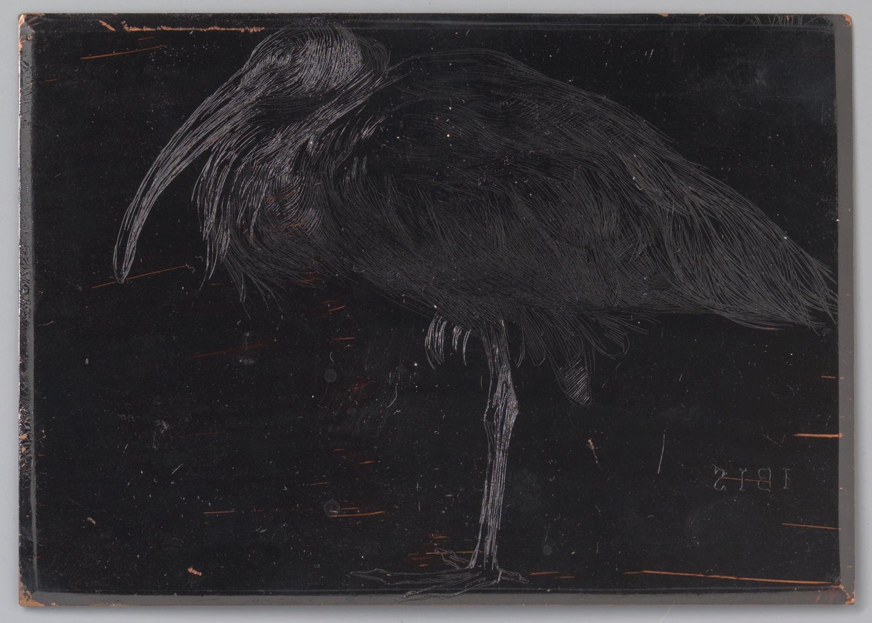 Ibis (alkuperäinen nimi esineessä) tekijältä Jan Veth