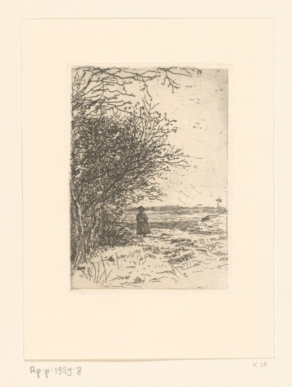 Nainen maisemassa Woman on the Heath (alkuperäinen nimi) tekijältä Jan Veth