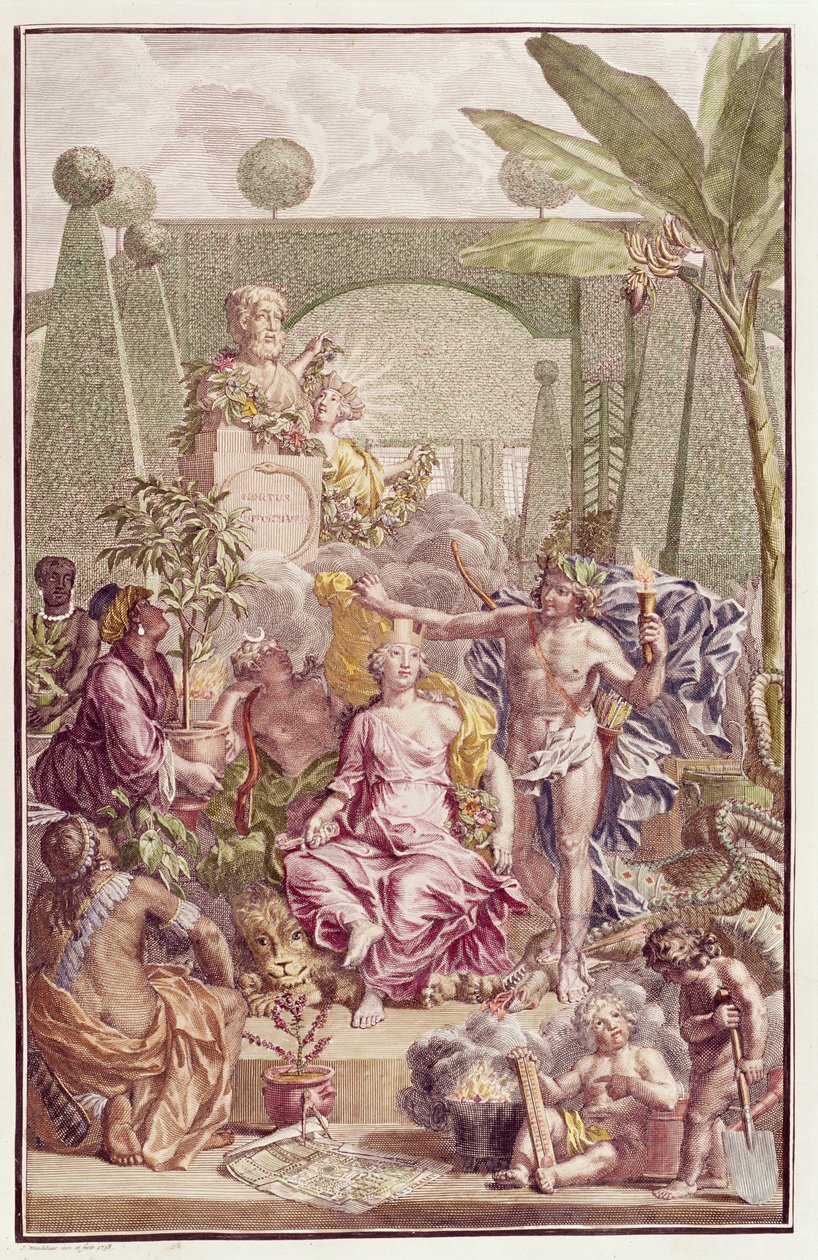 Carl Linnaeuksen (1707-78) "Hortus Cliffortianuksen" etulevy tekijältä Jan Wandelaar