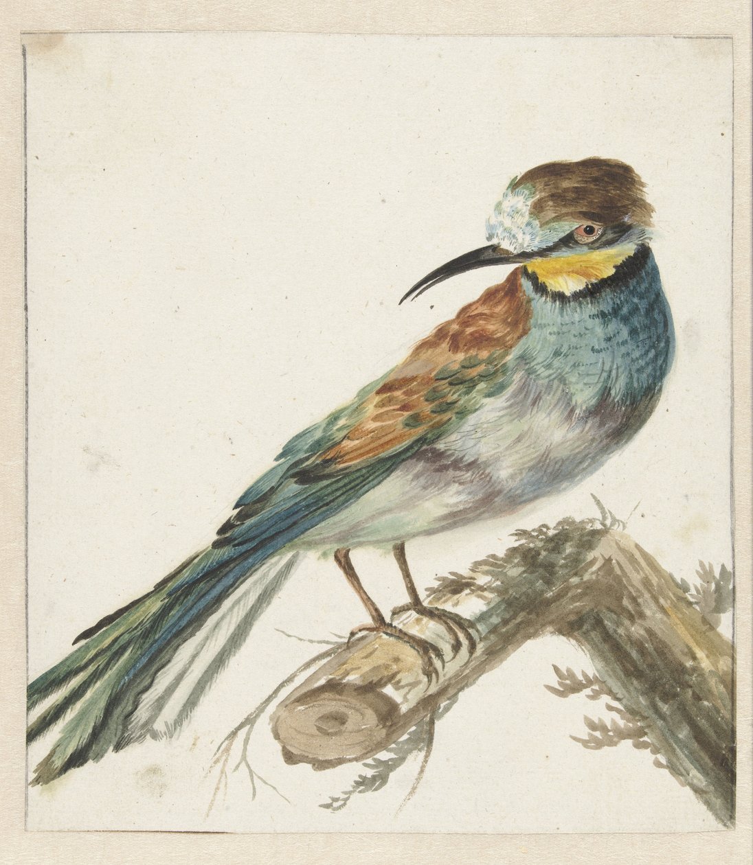 Vixenitter (Merops apiaster) tekijältä Jan Baptist Weenix