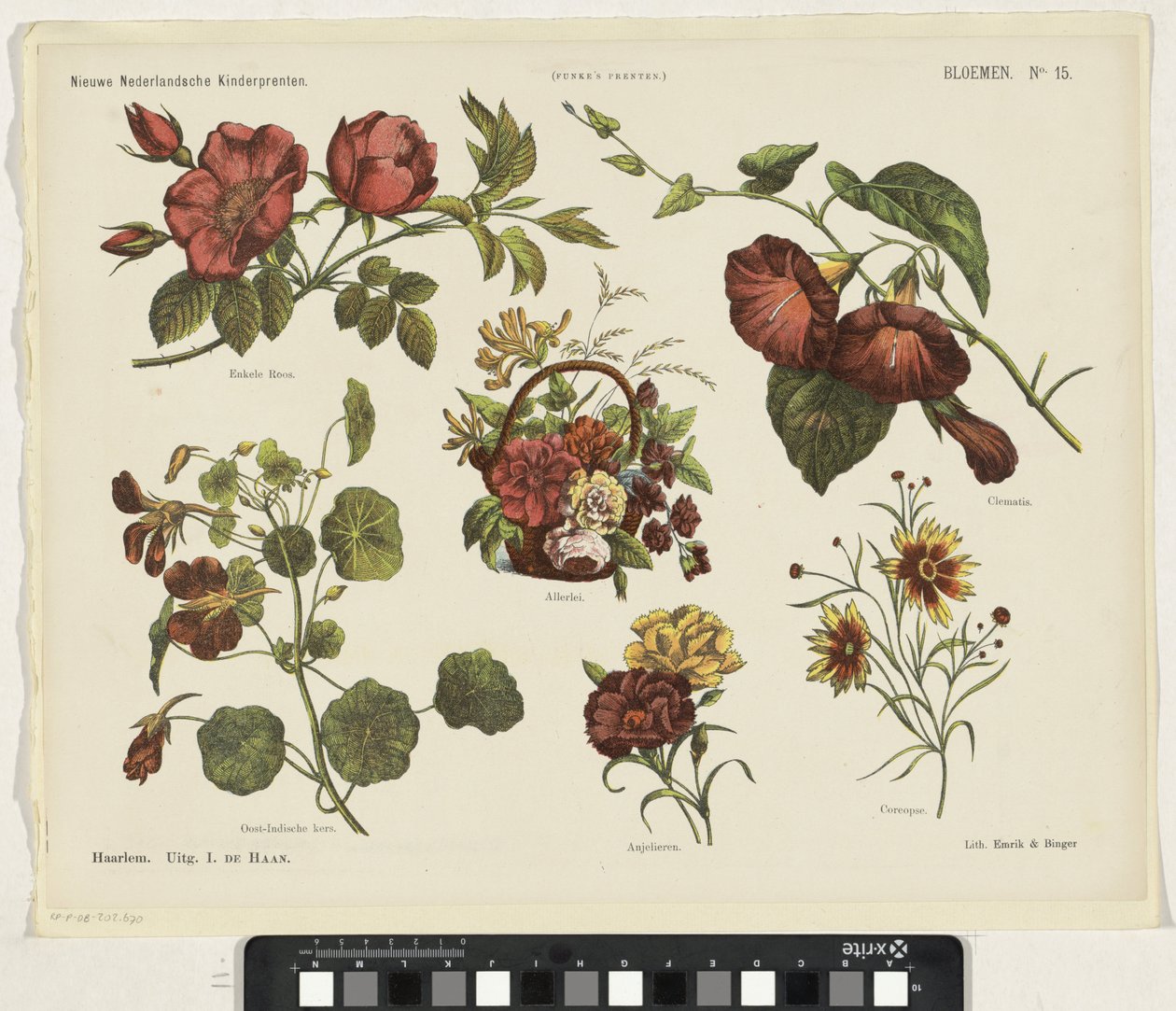 Flors (títol a l