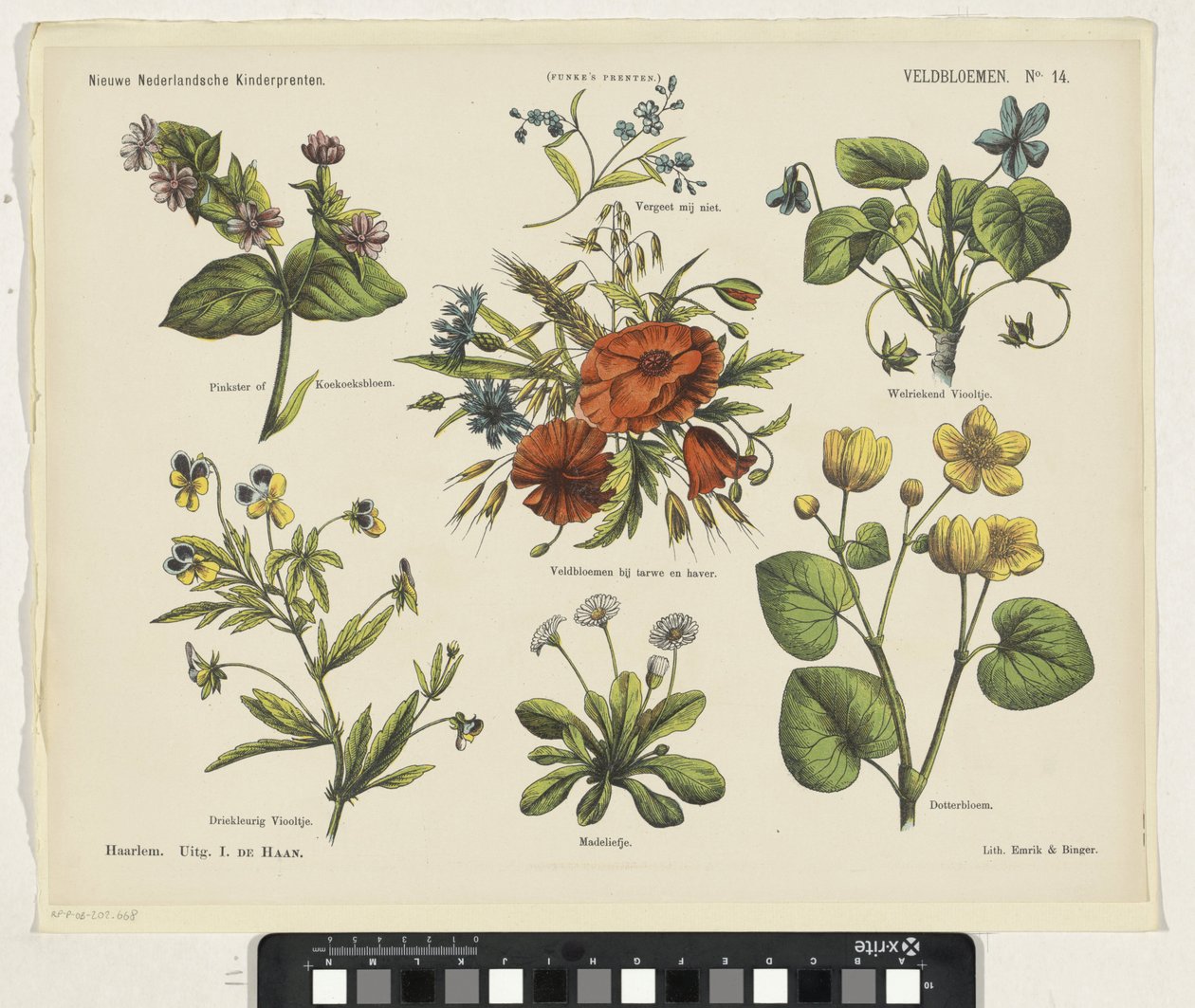 Wildflowers (otsikko esineessä) Uusia hollantilaisia ​​lastenprinttejä (sarjan nimi esineessä) Funken vedokset (sarjan nimi esineellä) tekijältä Jan de Haan