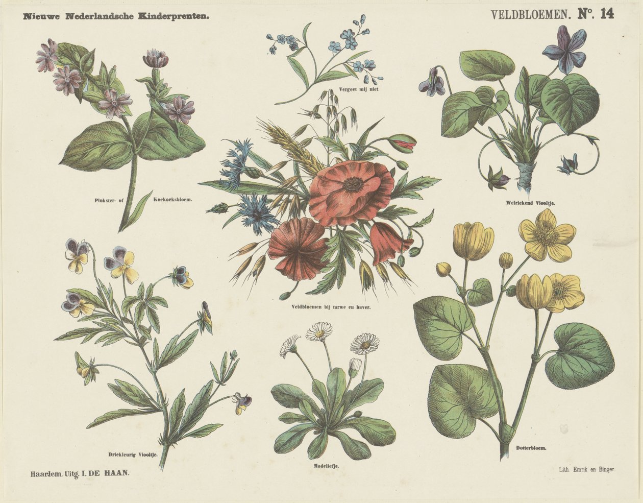 Wildflowers (otsikko esineessä) Uusia hollantilaisia ​​lastenprinttejä (sarjan nimi esineessä) tekijältä Jan de Haan
