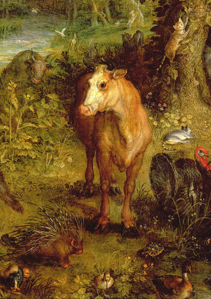 Maa tai Maanpäällinen paratiisi, yksityiskohta lehmästä, piikkisupista ja muista eläimistä, 1607-08 öljy kuparille yksityiskohta kuvasta 93899 tekijältä Jan the Elder Brueghel
