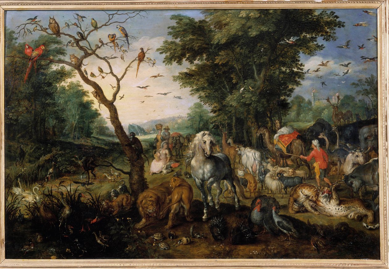 Eläinten nouseminen Noen arkkiin Jan Bruegelin (tai Breugelin tai Brueghelin tai Breughelin) maalaus, entinen Bruegel de Velours (1568-1625) 1600-luvun Orleans, Musee des Beaux Arts - Eläinten saapuminen Nooan arkkiin Maalaus Jan tekijältä Jan the Elder Brueghel
