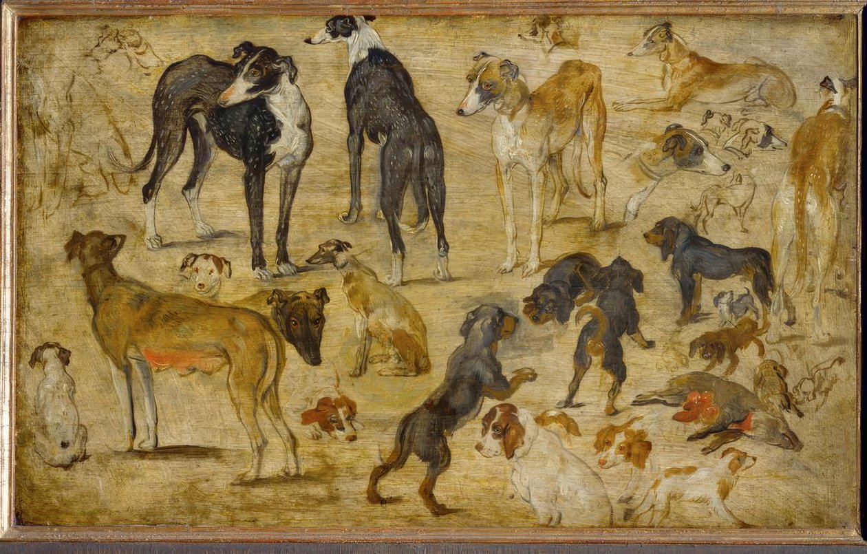 Eläinkokeet tekijältä Jan the Elder Brueghel