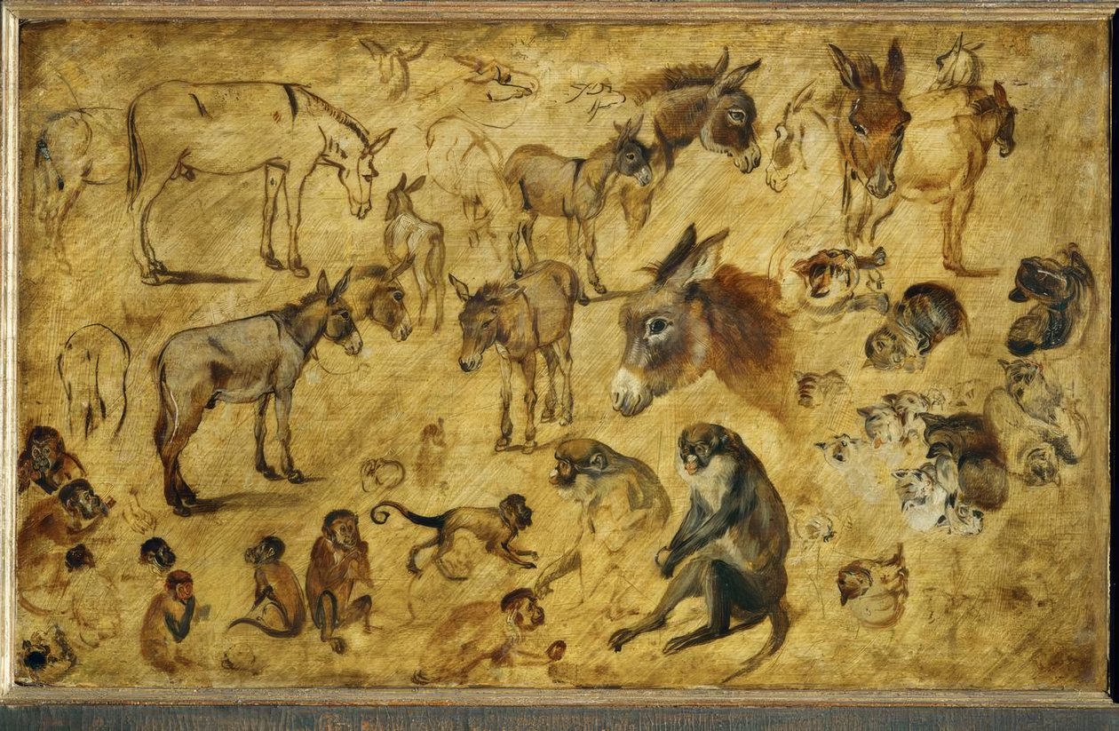 Tierstudien tekijältä Jan the Elder Brueghel