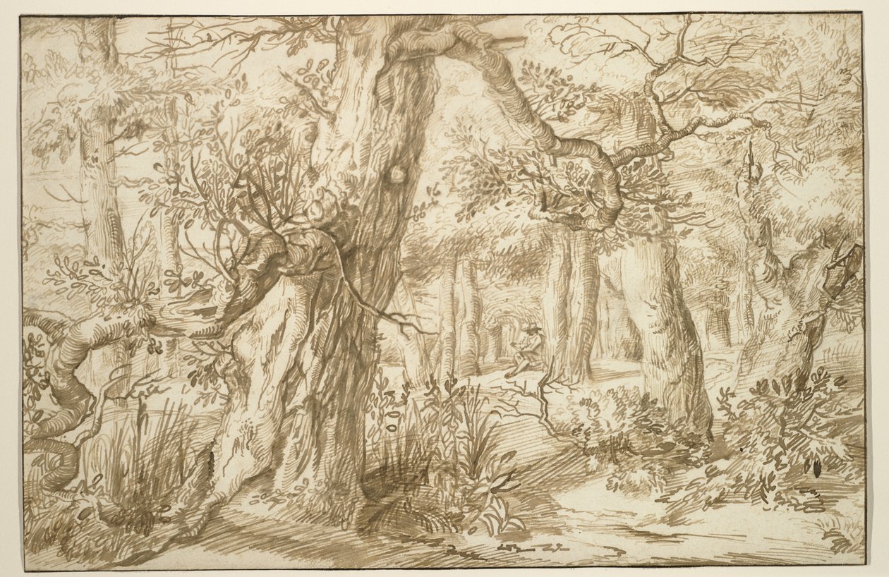 Forest Interior with Draftsman, n. 1664 (ruskea muste antiikkipaperilla) tekijältä Jan the Elder Lievens