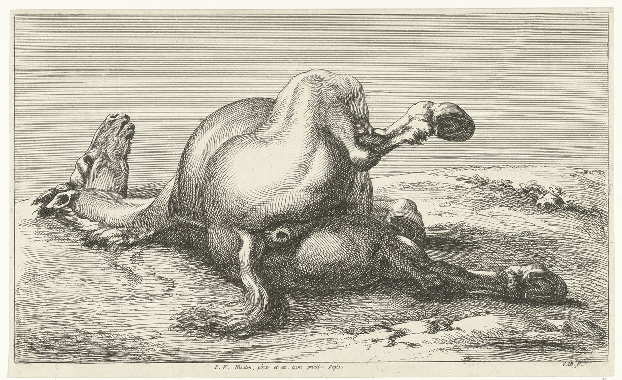 kaatunut hevonen Dead Horses (sarjan nimi) tekijältä Jan van Huchtenburg