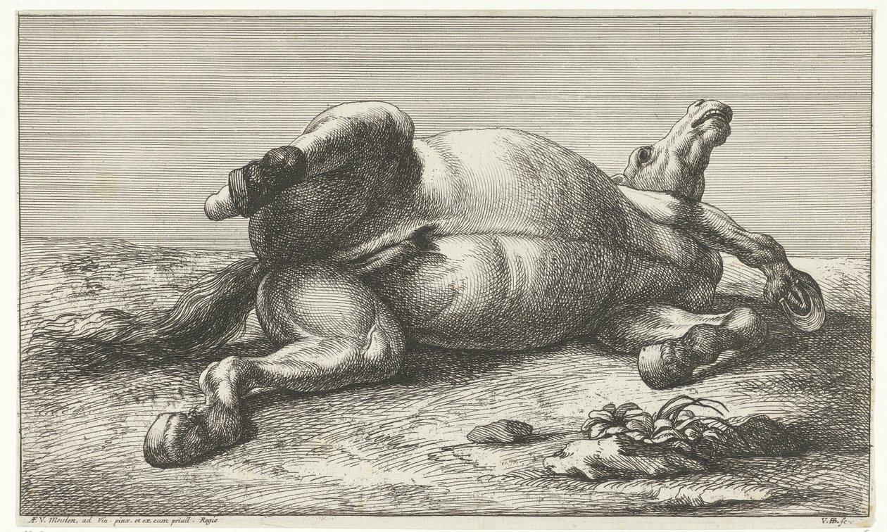 Kuollut hevonen makaa vasemmalla kyljellään Dead Horses (sarjan nimi) tekijältä Jan van Huchtenburg