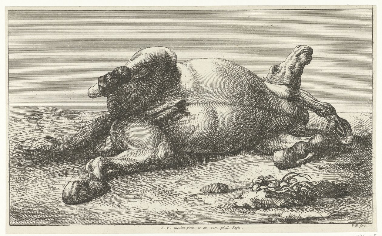 Kuollut hevonen makaa vasemmalla kyljellään Dead Horses (sarjan nimi) tekijältä Jan van Huchtenburg