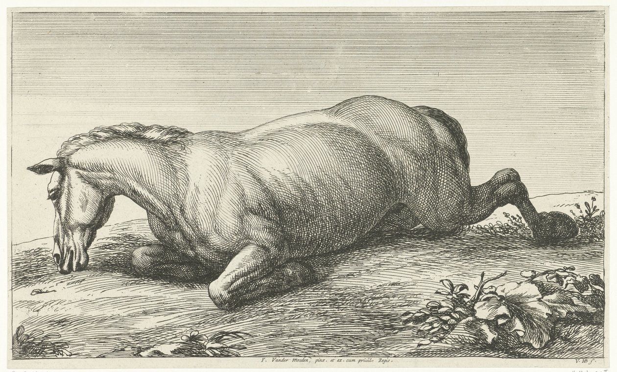 Kuollut hevonen makaa vatsallaan Dead Horses (sarjan nimi) tekijältä Jan van Huchtenburg