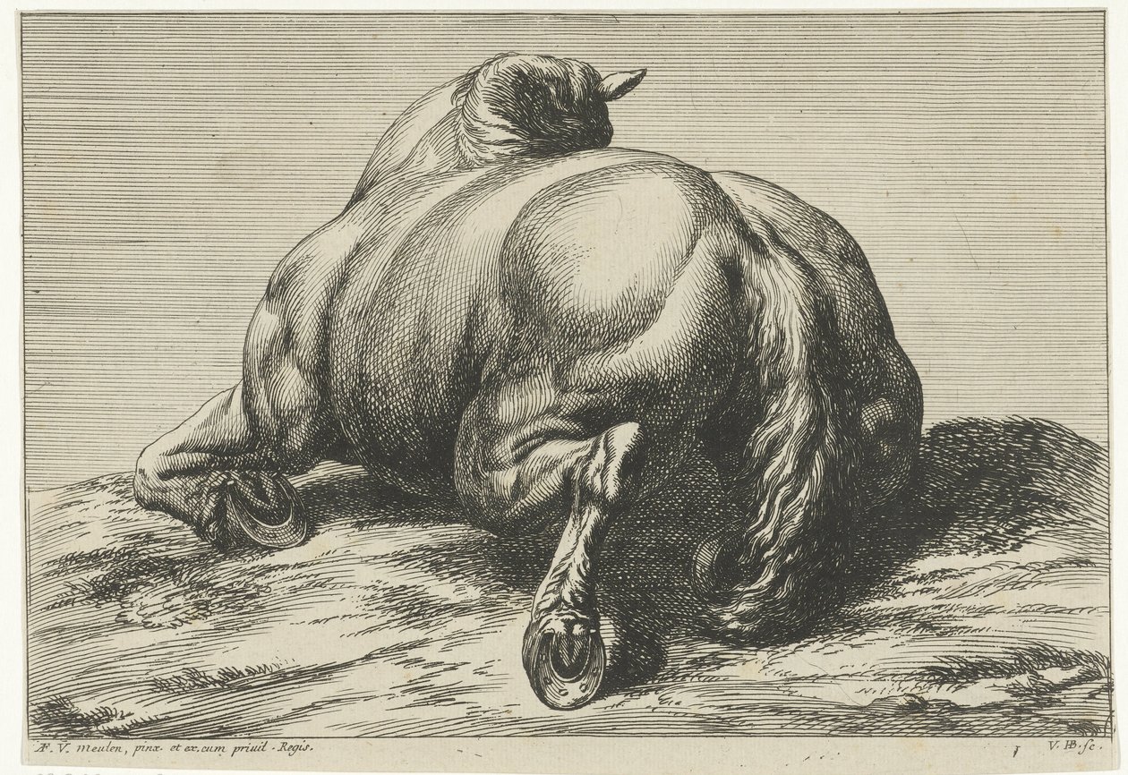 Kaatunut hevonen vatsalla takaa katsottuna Dead Horses (sarjan nimi) tekijältä Jan van Huchtenburg