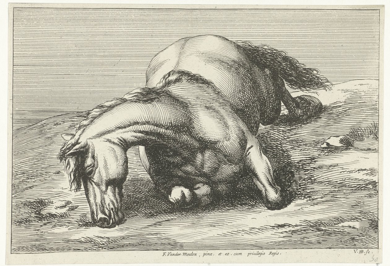 Kuollut hevonen makaa oikealla puolella Dead Horses (sarjan nimi) tekijältä Jan van Huchtenburg