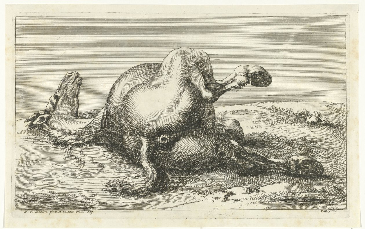 Kuollut hevonen takaa katsottuna Dead Horses (sarjan nimi) tekijältä Jan van Huchtenburg