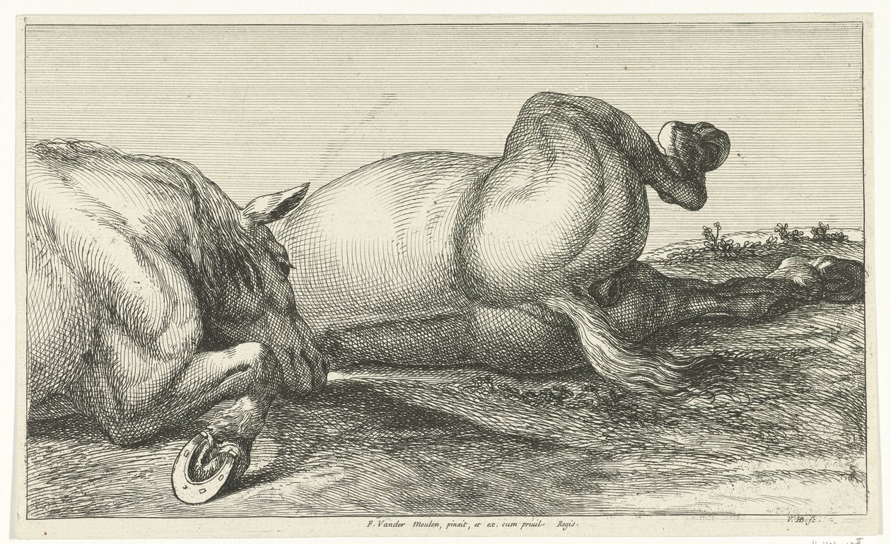 Kaksi kuollutta hevosta makaavat toistensa takana Dead Horses (sarjan nimi) tekijältä Jan van Huchtenburg