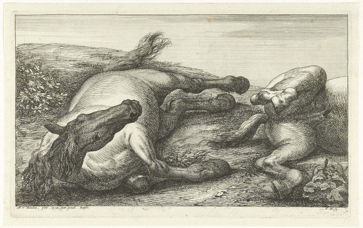 Kaksi kaatunutta hevosta, vasen edestä katsottuna Dead Horses (sarjan nimi) tekijältä Jan van Huchtenburg
