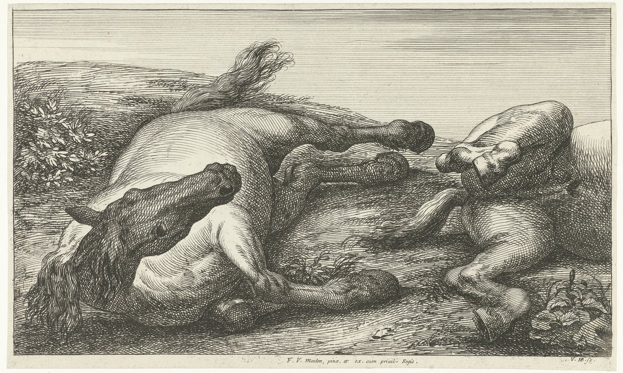 Kaksi kaatunutta hevosta, vasen edestä katsottuna Dead Horses (sarjan nimi) tekijältä Jan van Huchtenburg