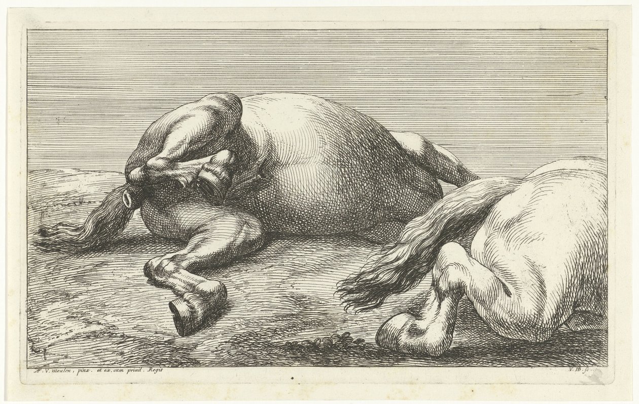 Kaksi kaatunutta hevosta, oikea sivulta katsottuna Dead Horses (sarjan nimi) tekijältä Jan van Huchtenburg