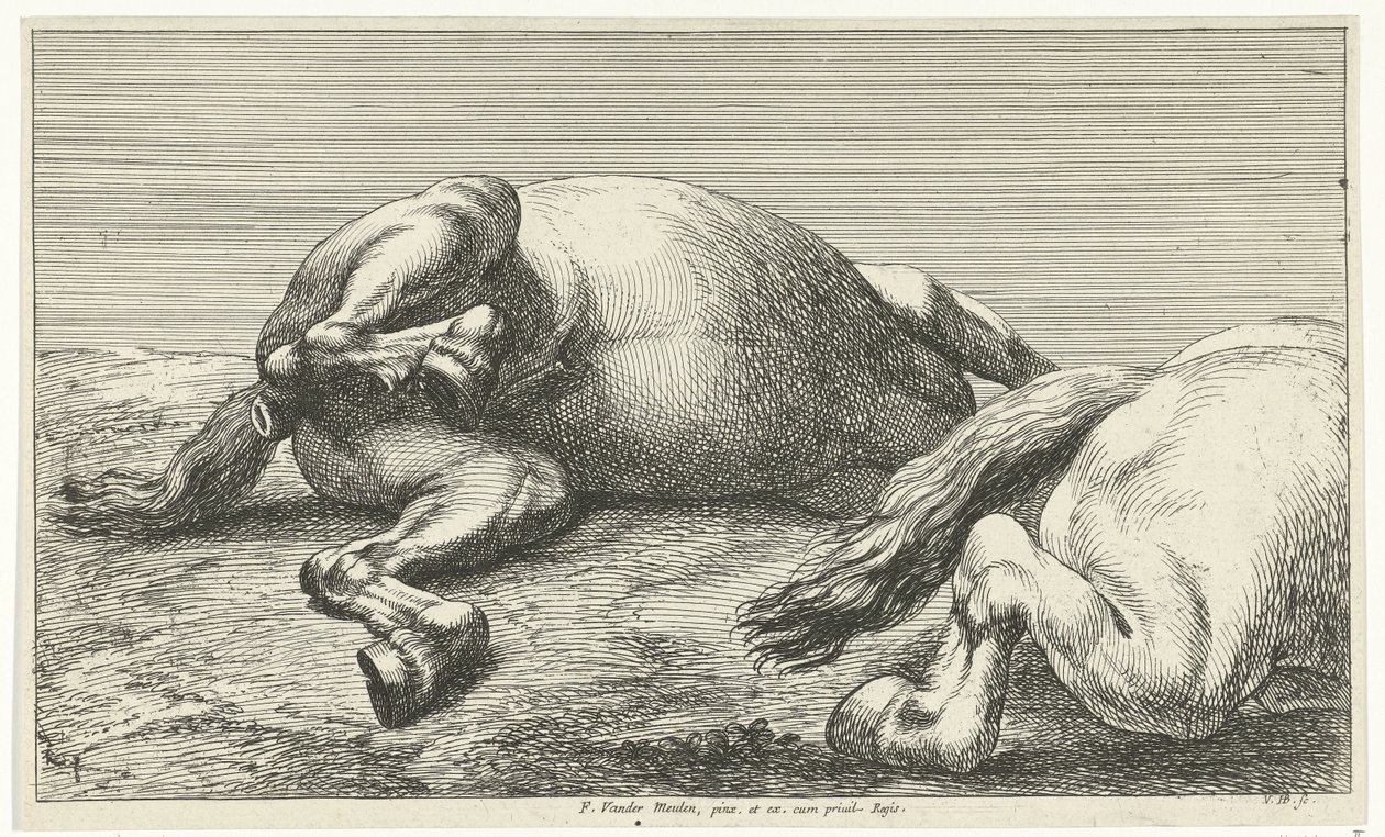 Kaksi kaatunutta hevosta, oikea sivulta katsottuna Dead Horses (sarjan nimi) tekijältä Jan van Huchtenburg