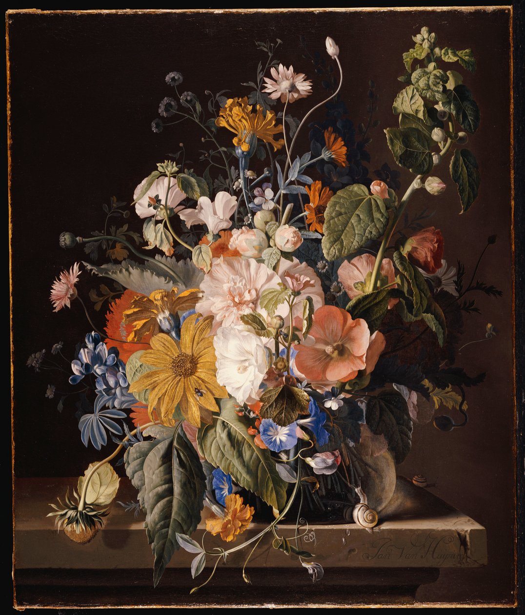 Unikot, hollyhock, Morning Glory, alttoviulu, päivänkakkarat, makea herne, kehäkukka ja muut kukat maljakossa, jossa etana kielekkeellä tekijältä Jan van Huysum