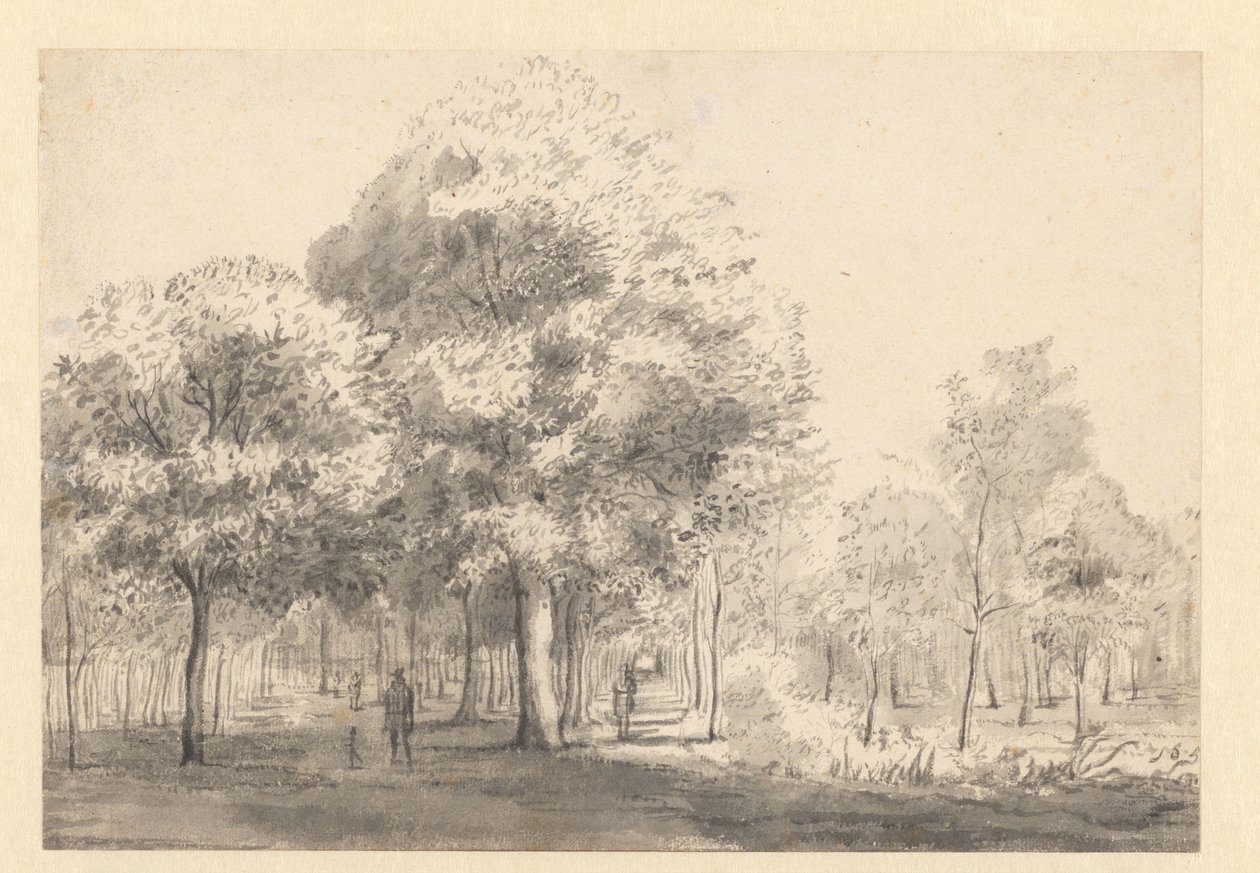 Näkymä Haarlemmerhoutille, Haarlem tekijältä Jan van Kessel (attributed to)