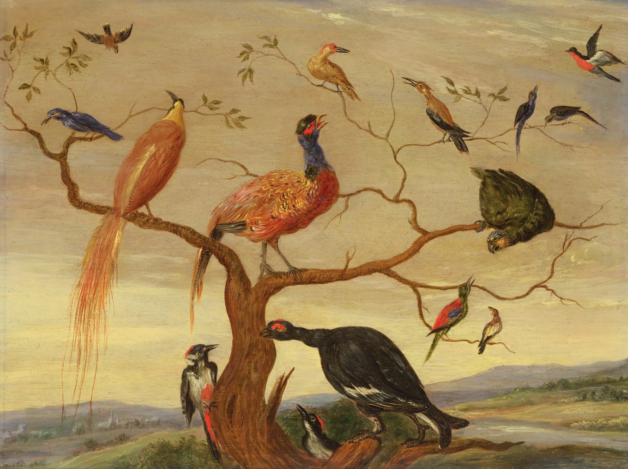 Lintukonsertti (öljy kuparilevylle) tekijältä Jan van Kessel the Elder