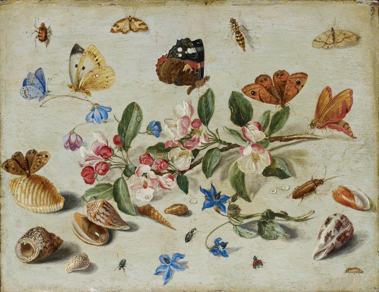 Kukat ja hyönteiset, 1650-luvun loppu tai 1660-luvun alku tekijältä Jan van Kessel