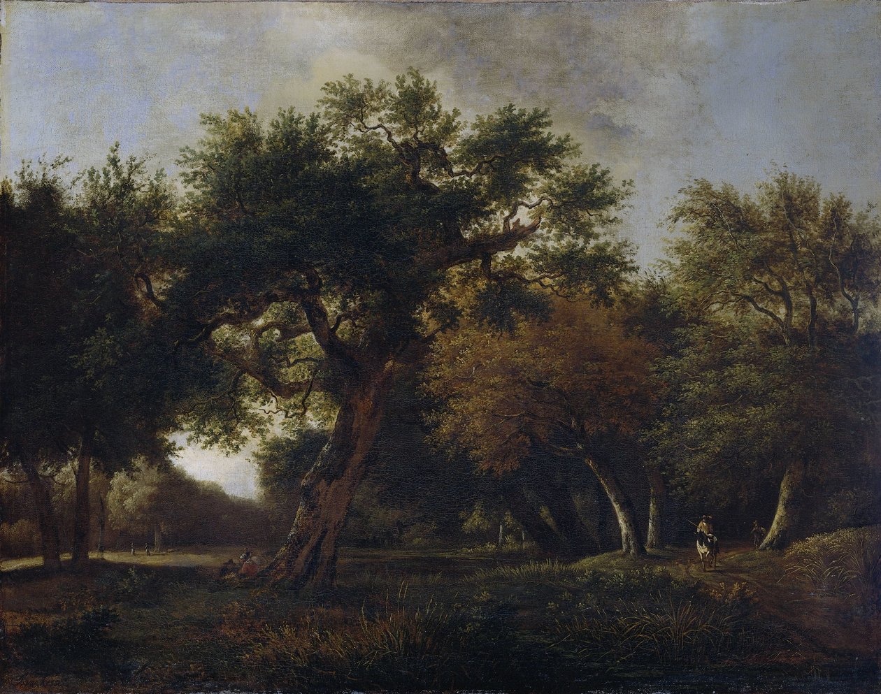 Näkymä metsässä tekijältä Jan van  Kessel