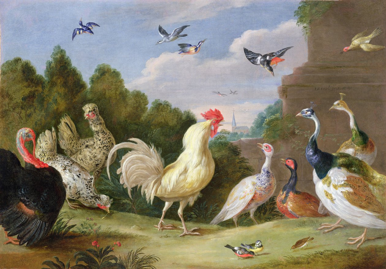 Metsäinen maisema kukon kanssa, kalkkuna, kanoja ja muita lintuja, 1600-luku tekijältä Jan van Kessel the Elder