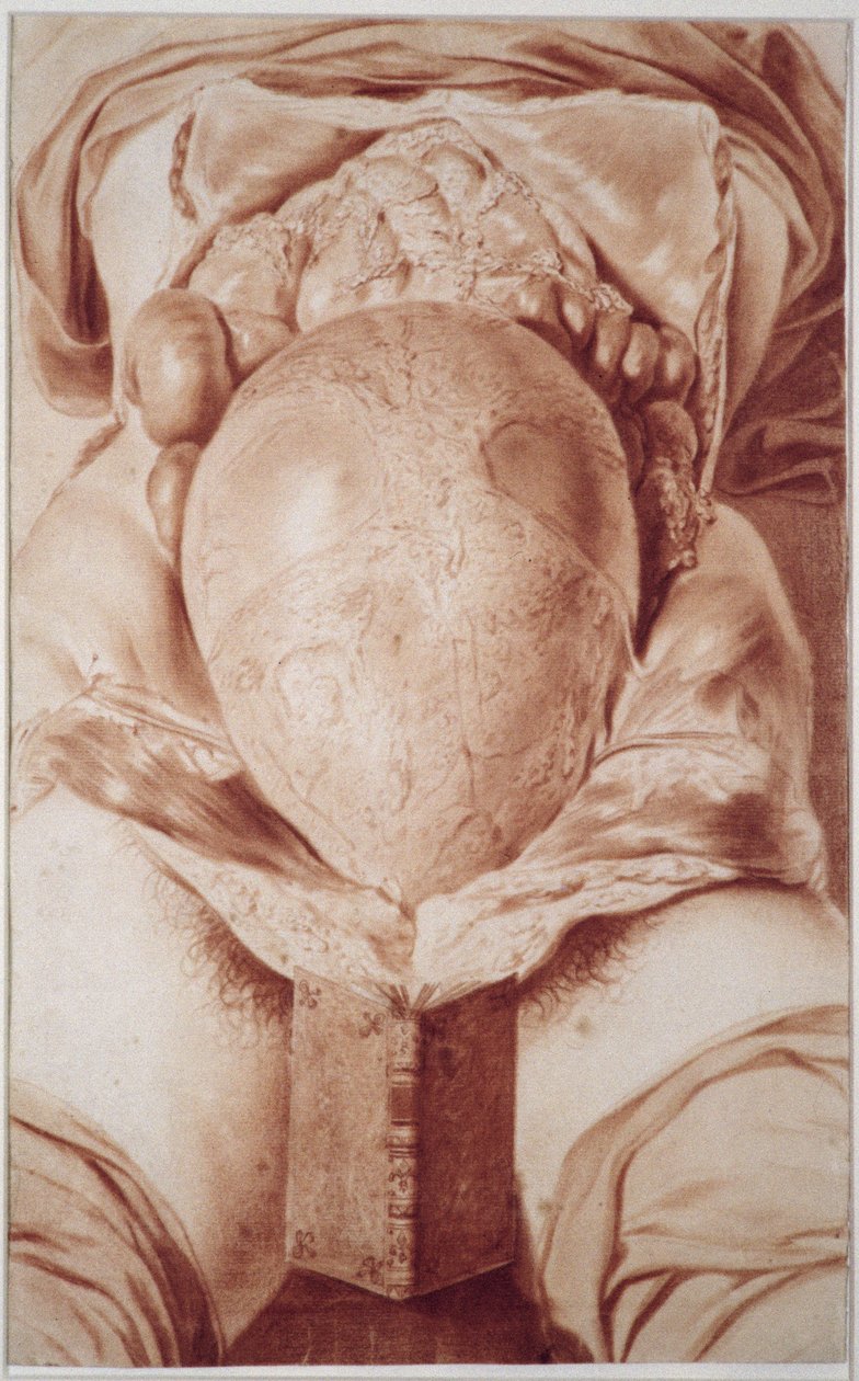 MS Hunter 658 Levy XXVI Piirros William Hunterin (1718-83) teoksesta Human Gravid Uterus anatomia, 1774 (liitu paperille) tekijältä Jan van Rymsdyk