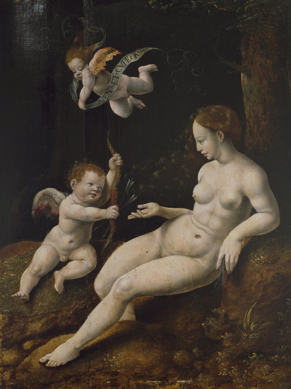 Venus ja kaksi Cupidosta, n. 1528 (öljy paneelille) tekijältä Jan van Scorel