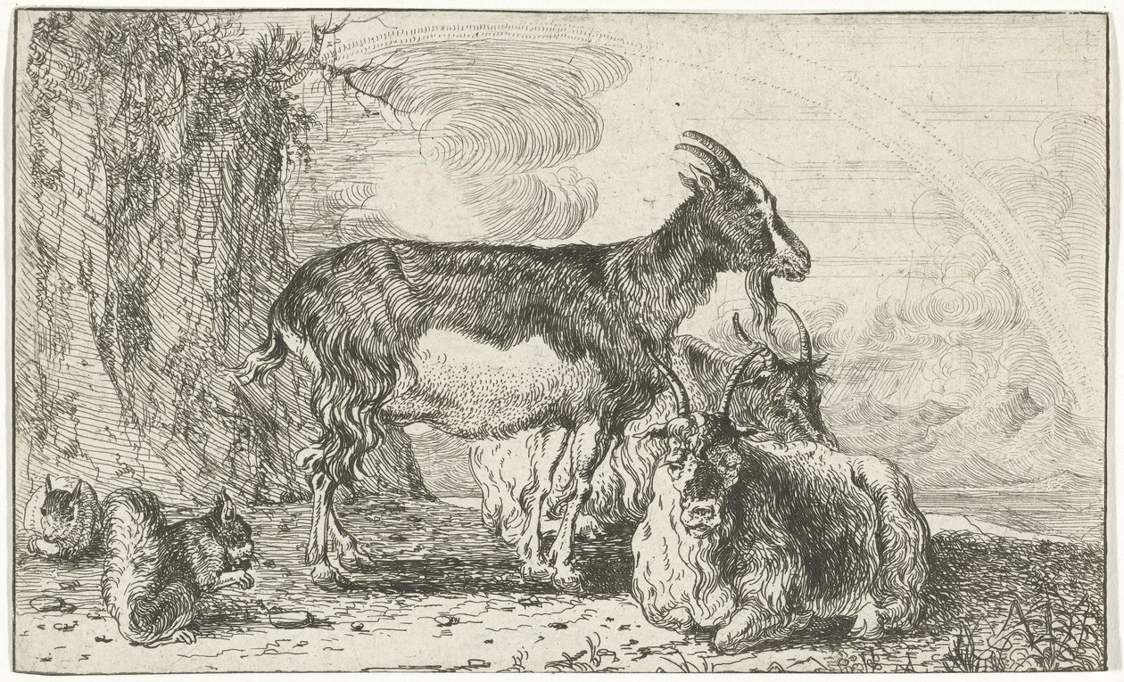 vuohet Eläimet (sarjan nimi) Zoographiam (sarjan nimi) tekijältä Jan van den Hecke