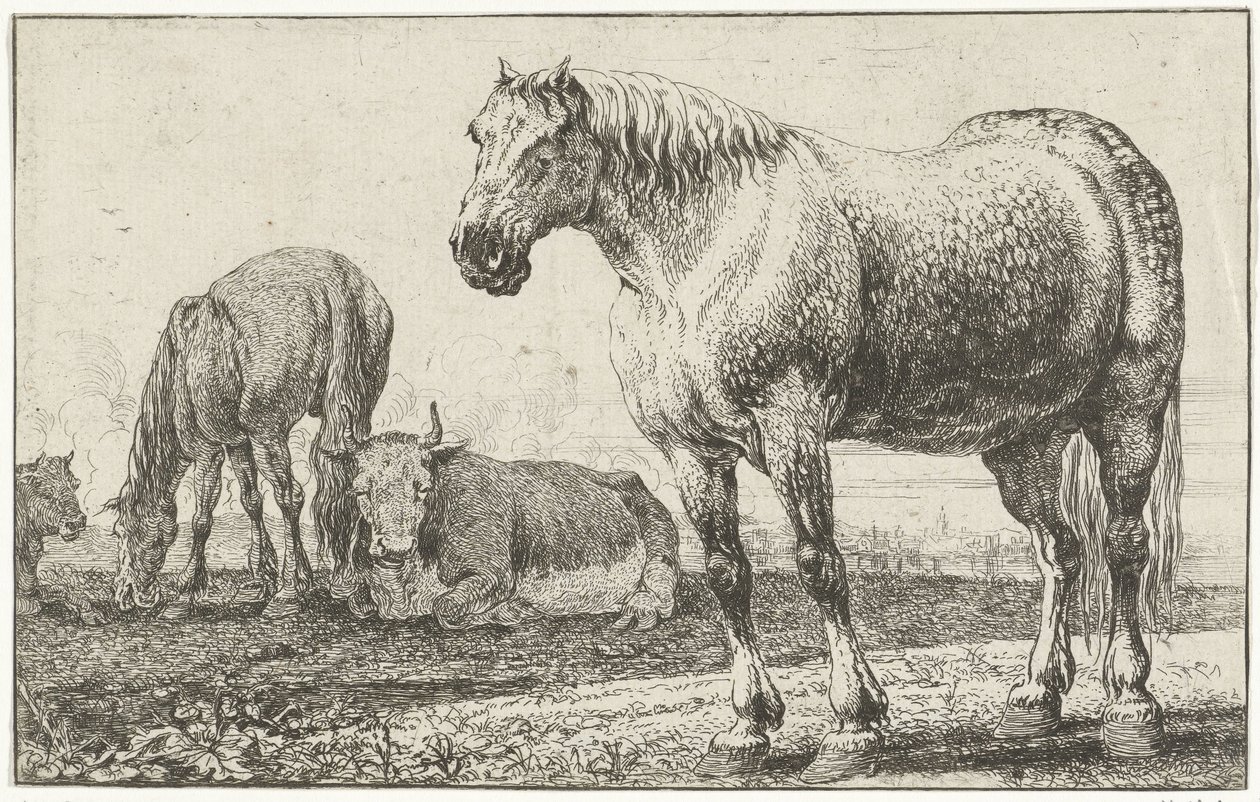 Hevoset ja lehmät Eläimet (sarjan nimi) Zoographiam (sarjan nimi) tekijältä Jan van den Hecke