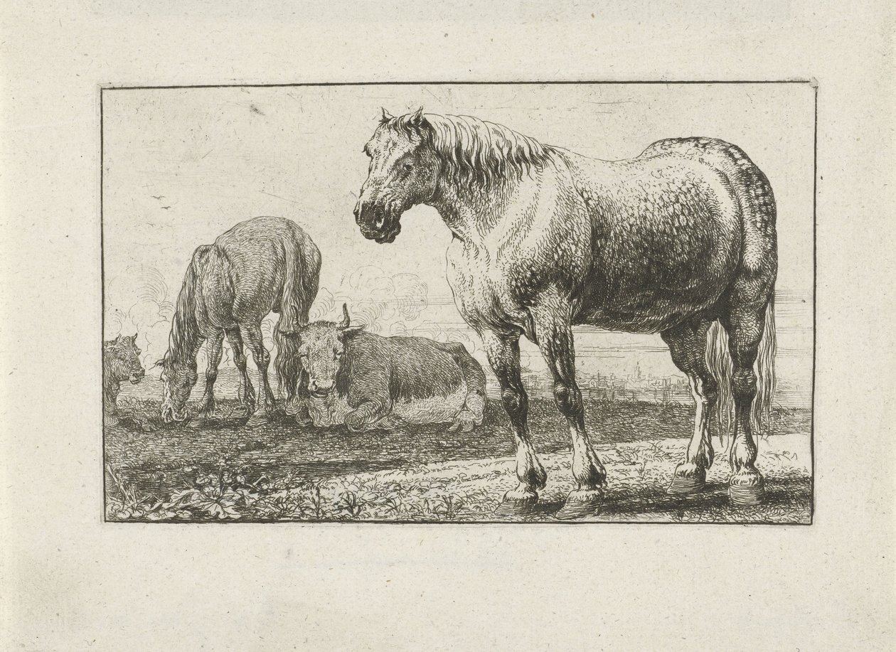 Hevoset ja lehmät Eläimet (sarjan nimi) Zoographiam (sarjan nimi) tekijältä Jan van den Hecke