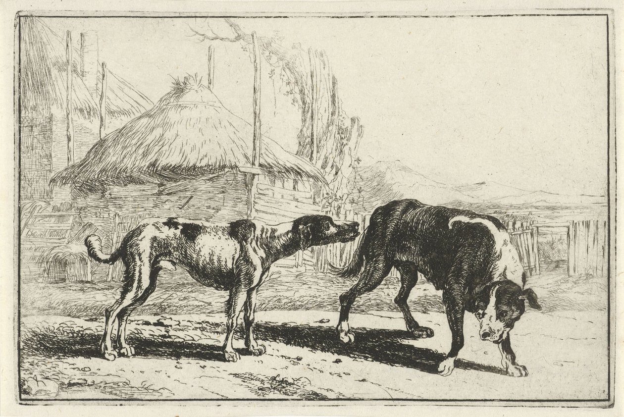 Mies ja nainen Eläimet (sarjan nimi) Zoographiam (sarjan nimi) tekijältä Jan van den Hecke